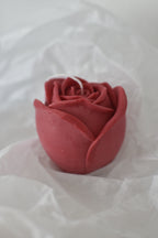 Rosa vela L
