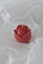 Rosa vela S