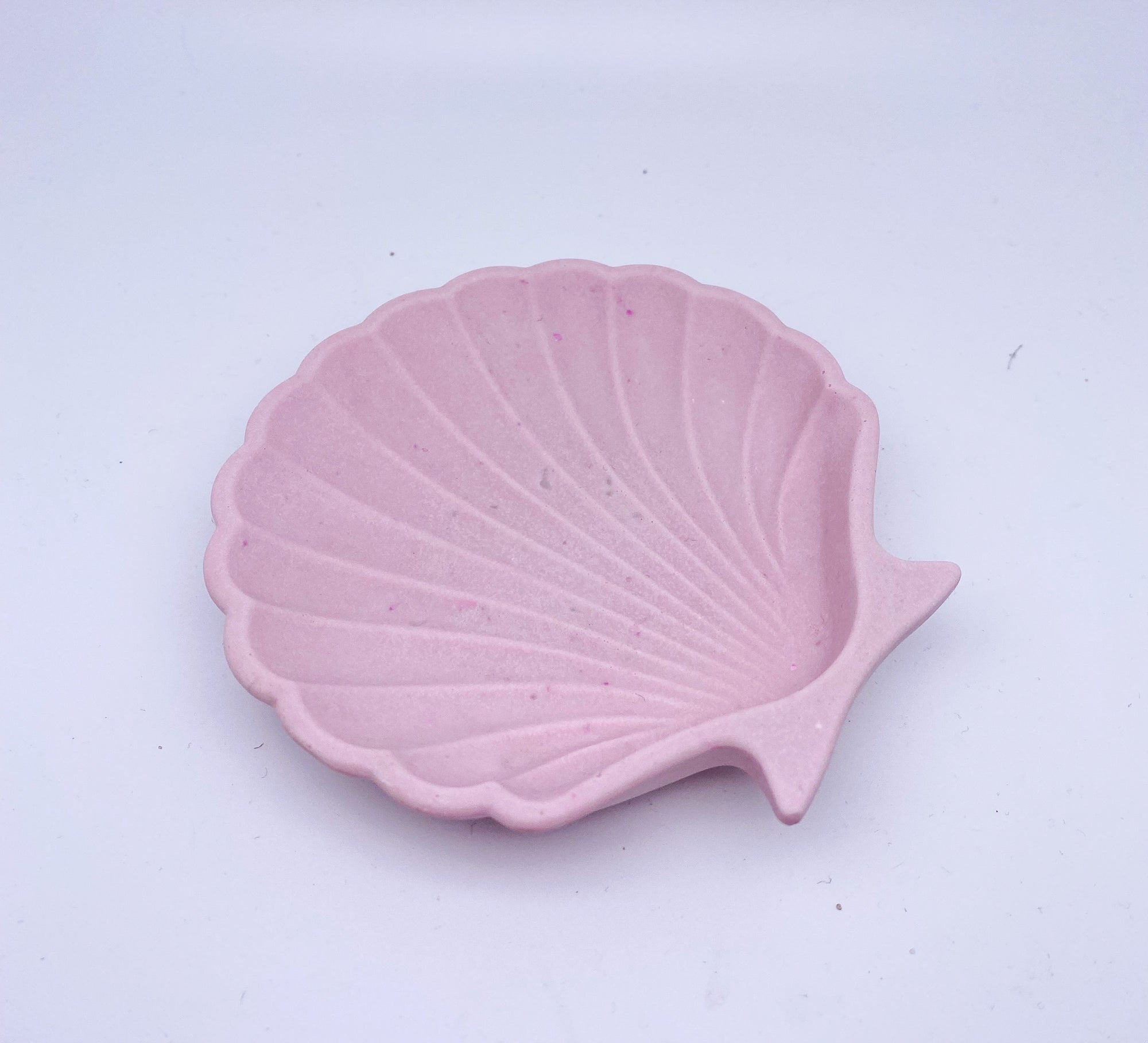 Shell Joyero