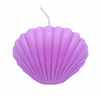Shell Candle