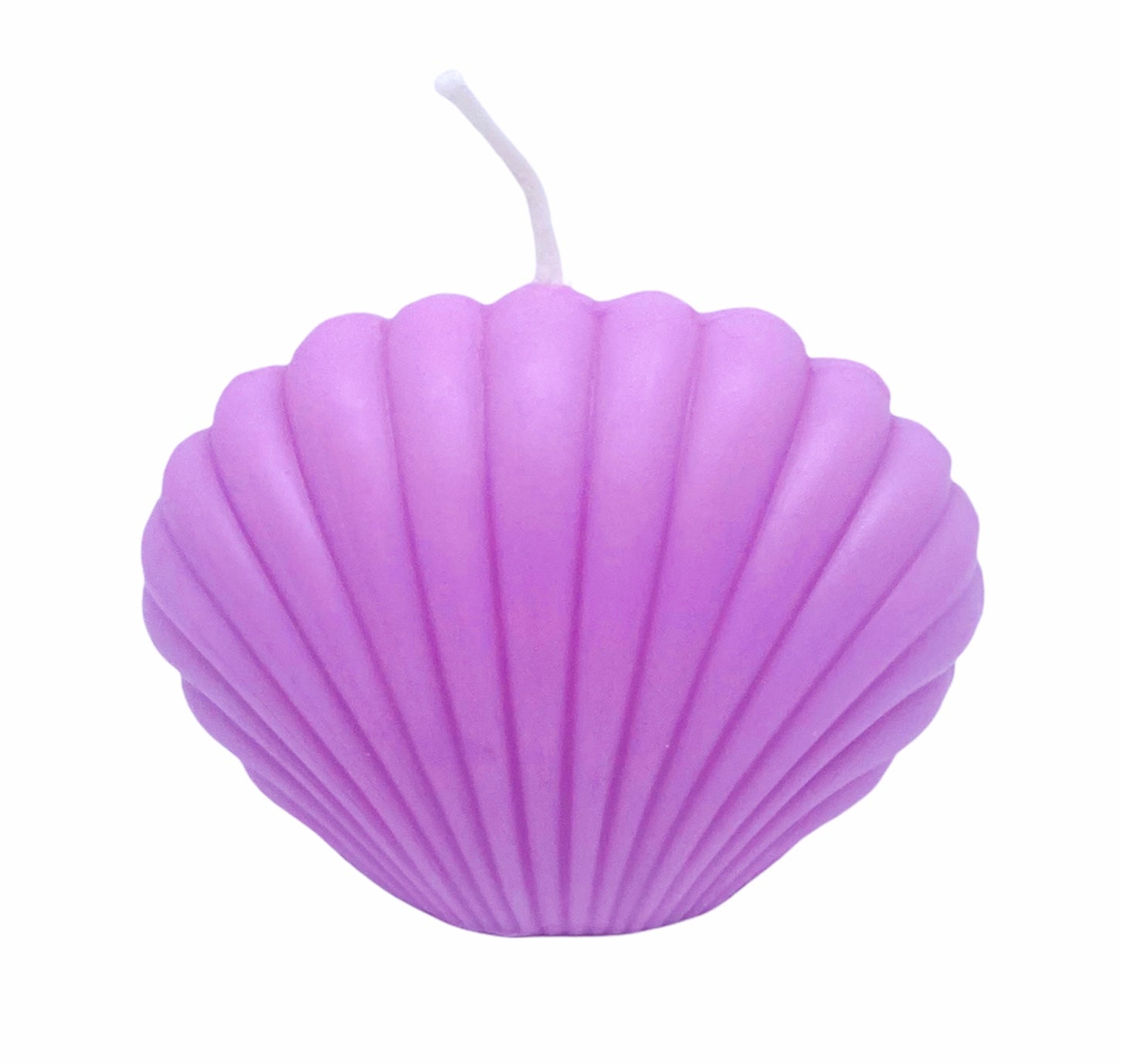 Shell Candle
