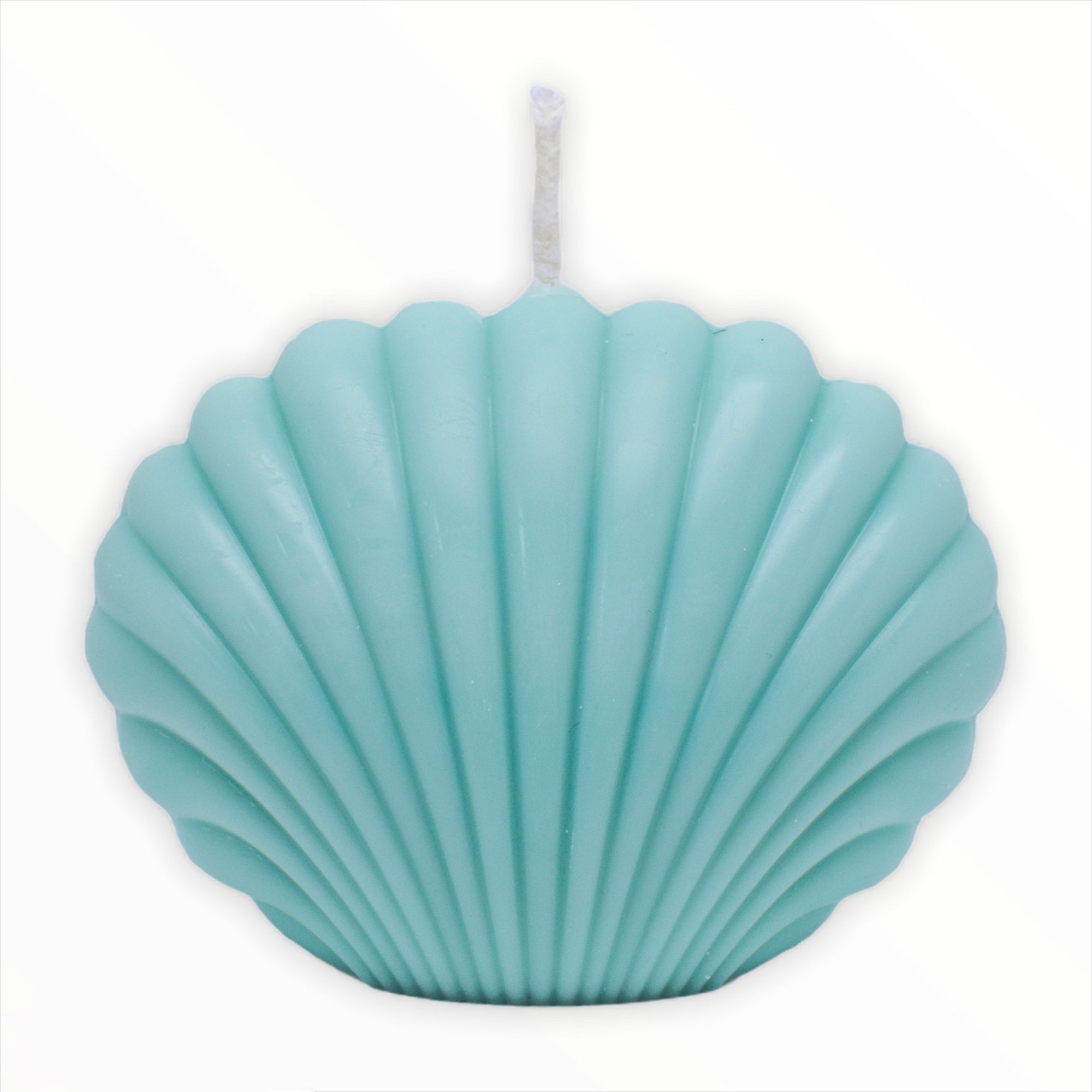 Shell Candle